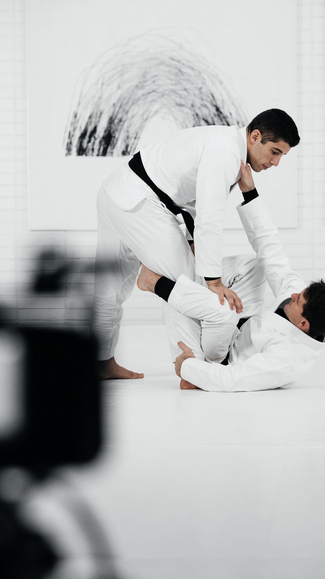 ART OF JIU JITSU