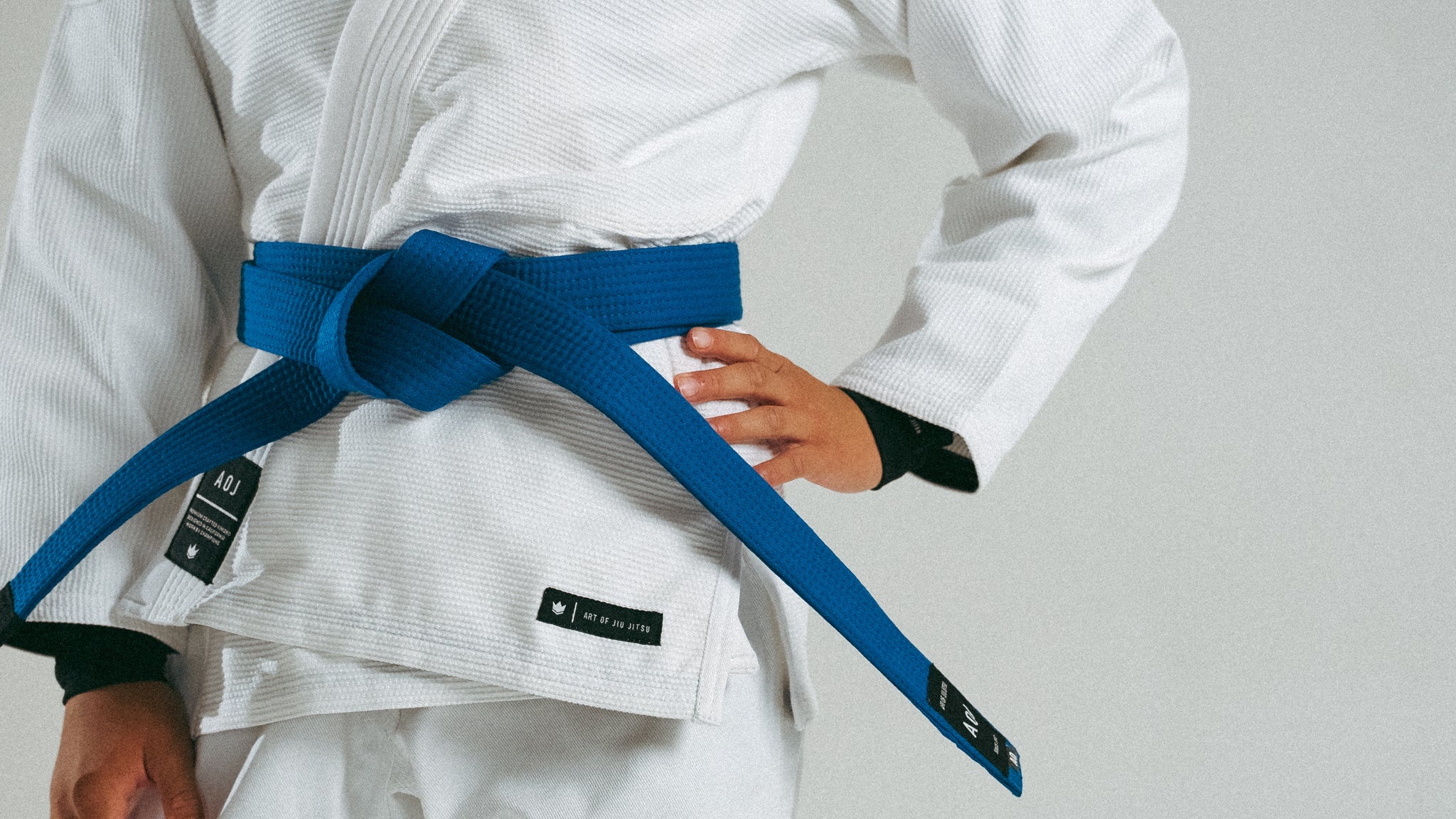 ART OF JIU JITSU